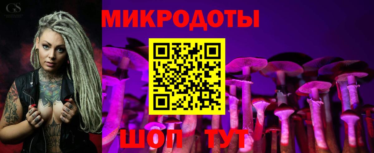 Галлюциногенные грибы Psilocybine cubensis  Галлюциногенные грибы MAGIC MUSHROOMS  Сосновоборск  Вход с VPN 